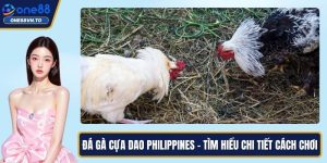 đá gà cựa dao Philippines