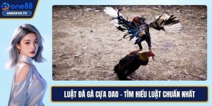 Luật đá gà cựa dao